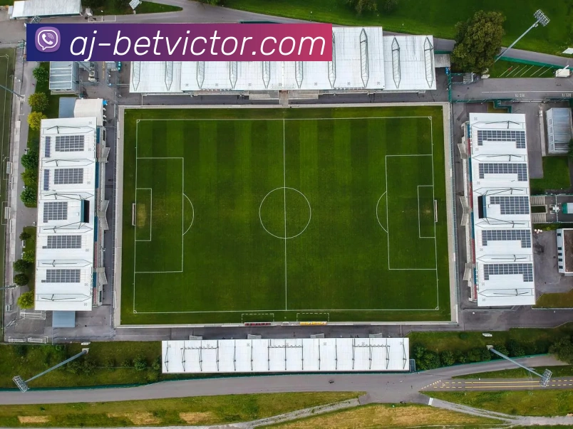 伟德体育官网APP 封面图